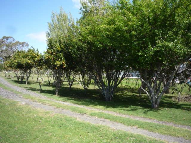 Blue House Villa Awanui Exterior photo